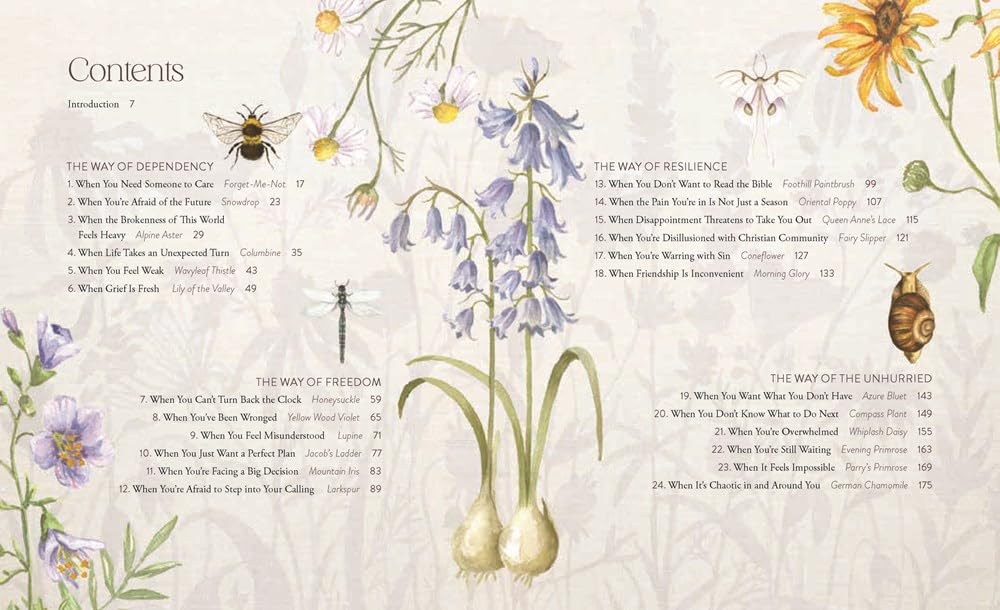 Wildflower Soul Awakening Meditations