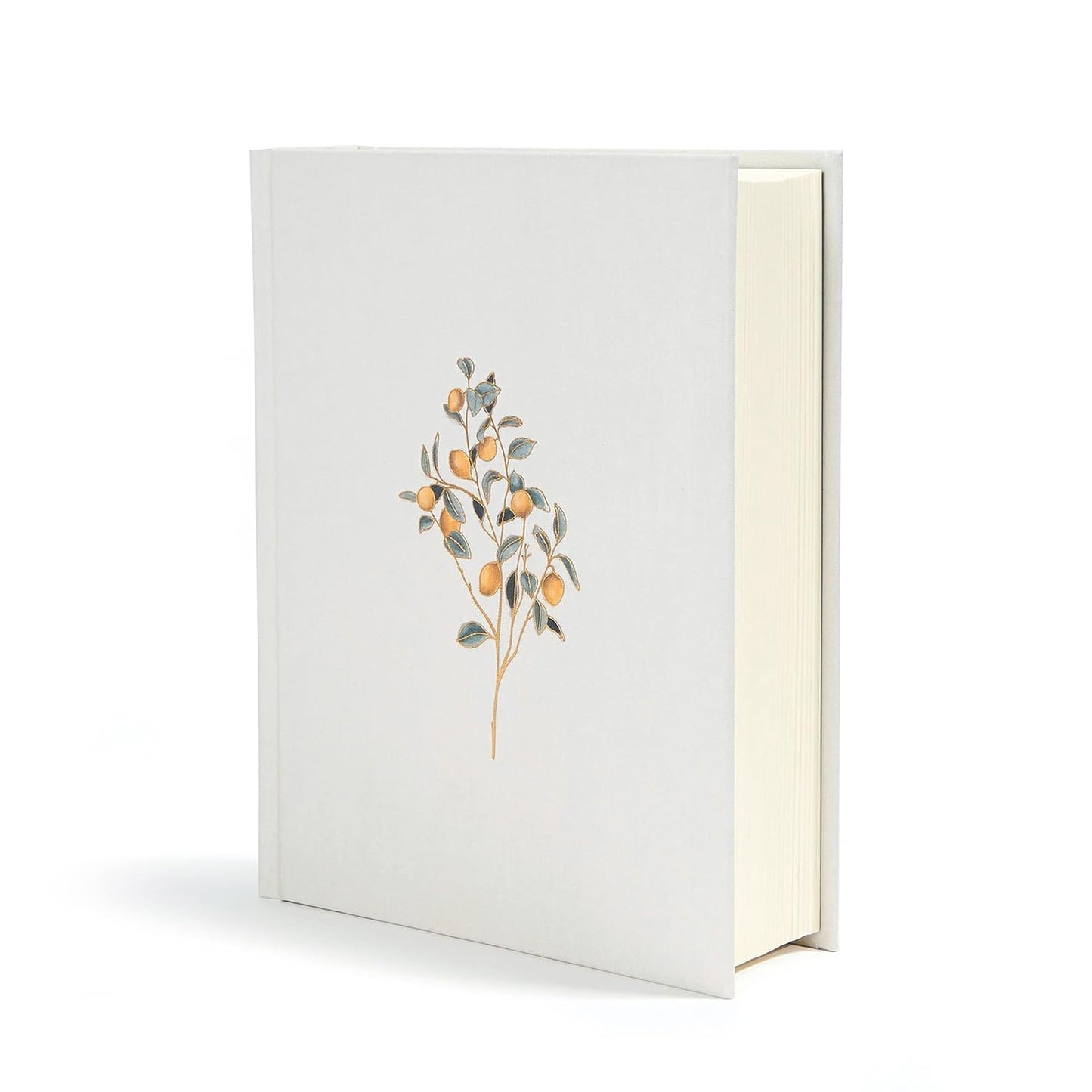 Inspirational Women's Journaling Bible