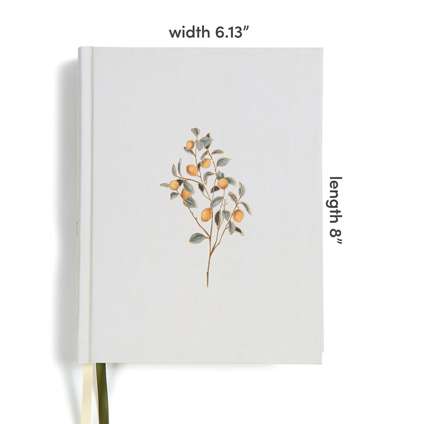 Inspirational Women's Journaling Bible