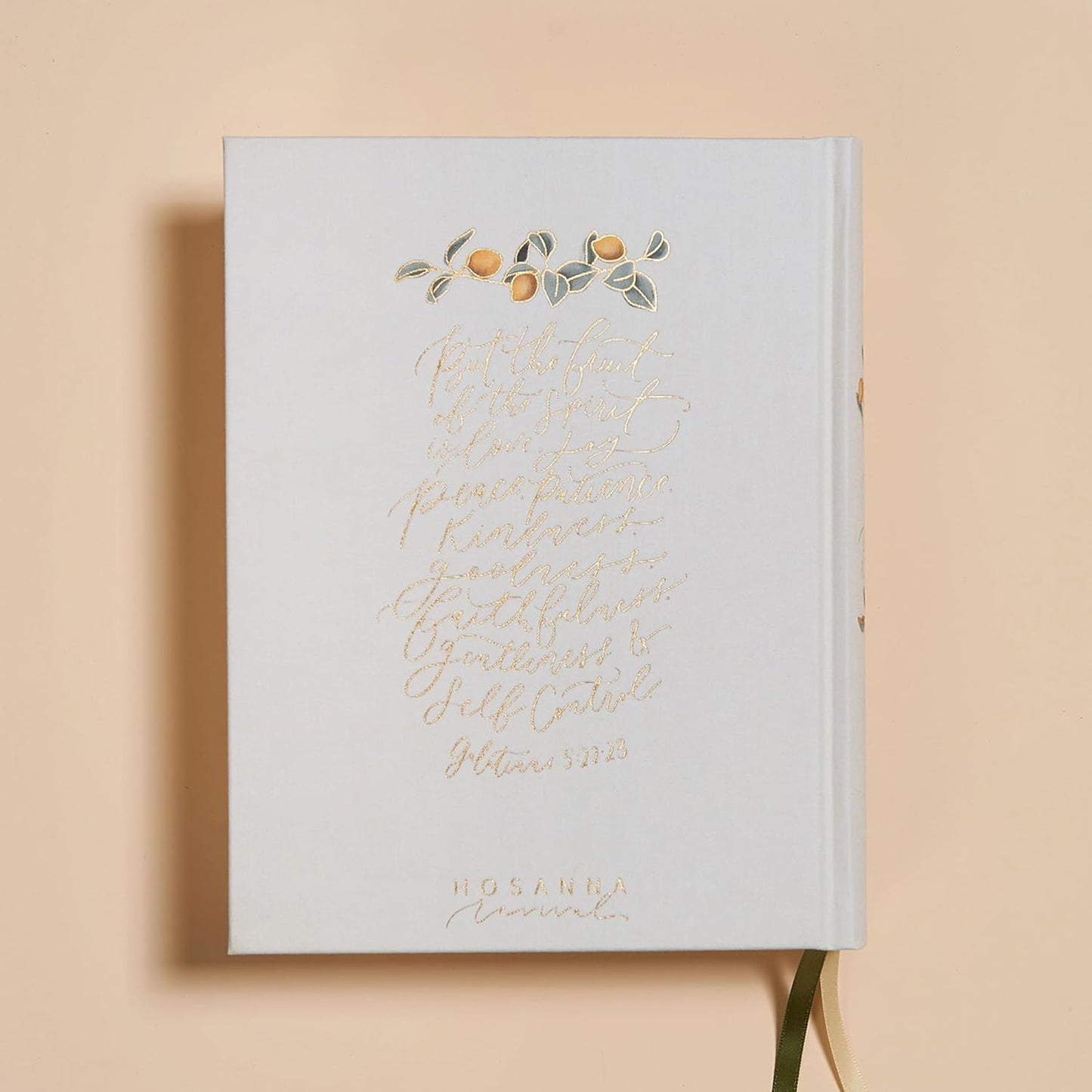 Inspirational Women's Journaling Bible