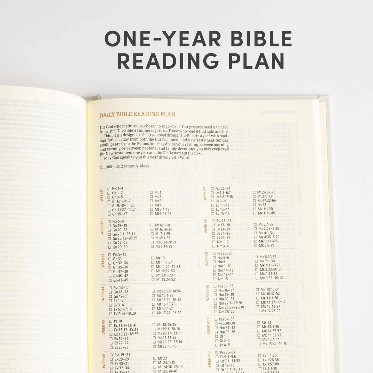 Inspirational Women's Journaling Bible
