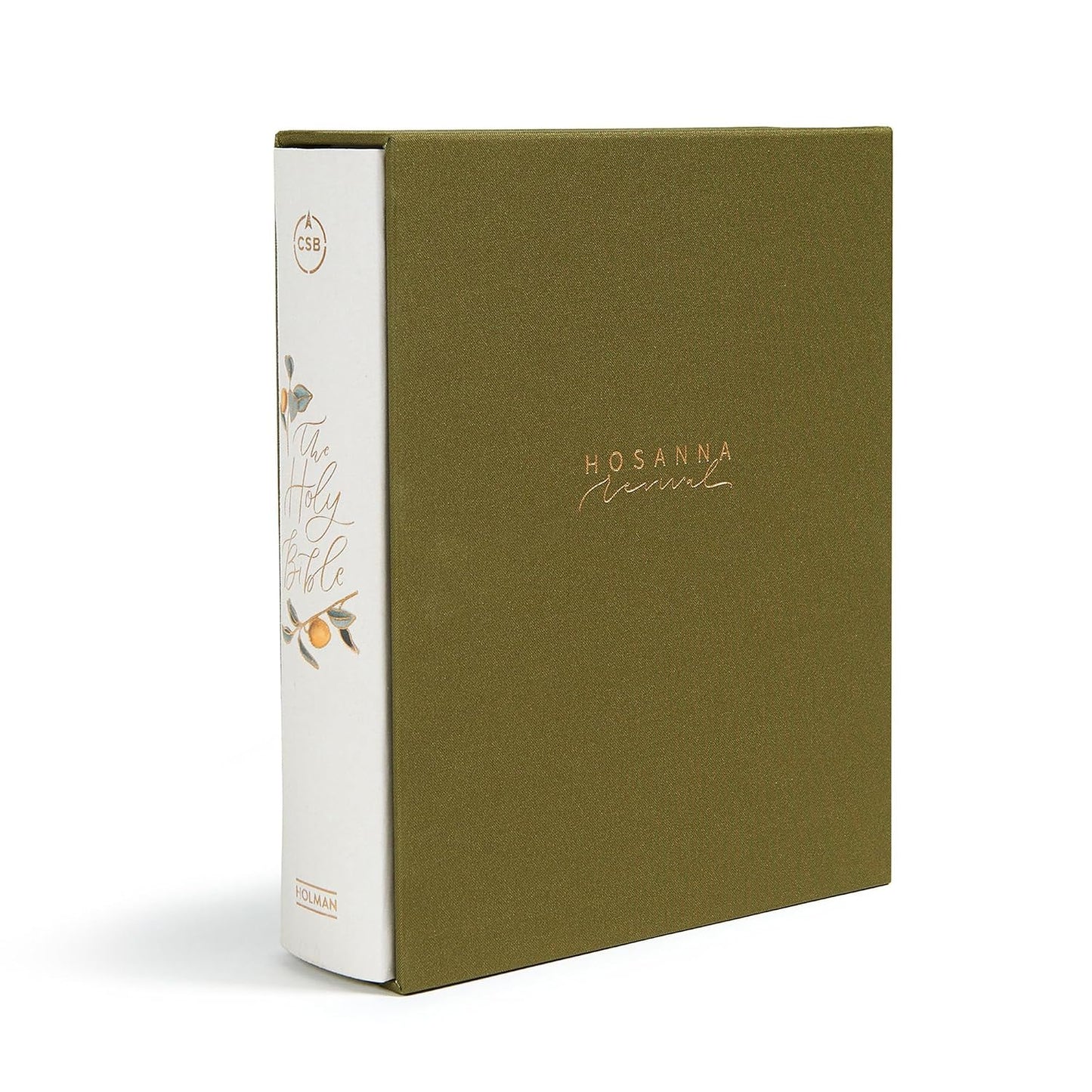 Inspirational Women's Journaling Bible