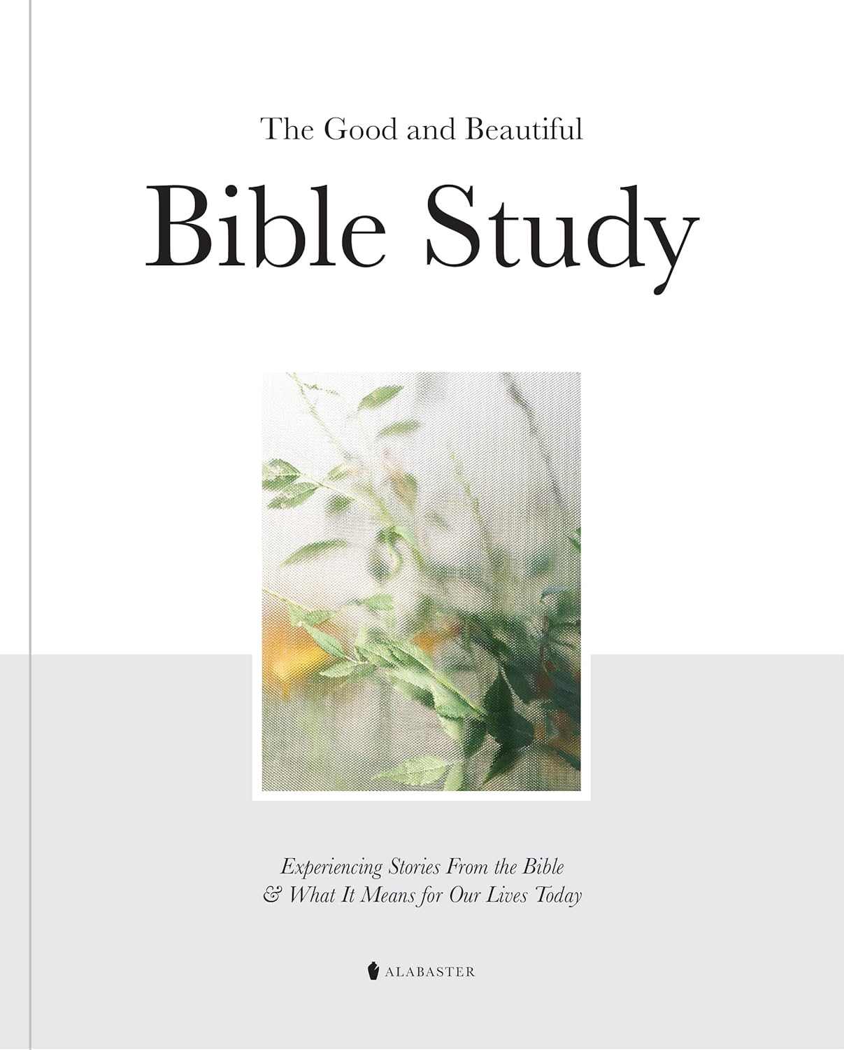 Inspiring Bible Stories Workbook